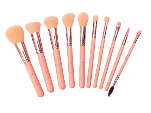 KIT DE BROCHAS MANDARINE X10 LULA