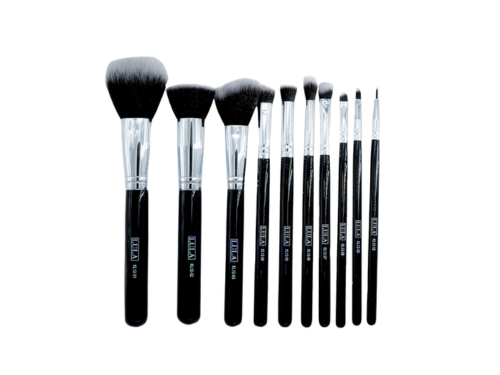 KIT DE BROCHAS ACADEMY X10 LULA